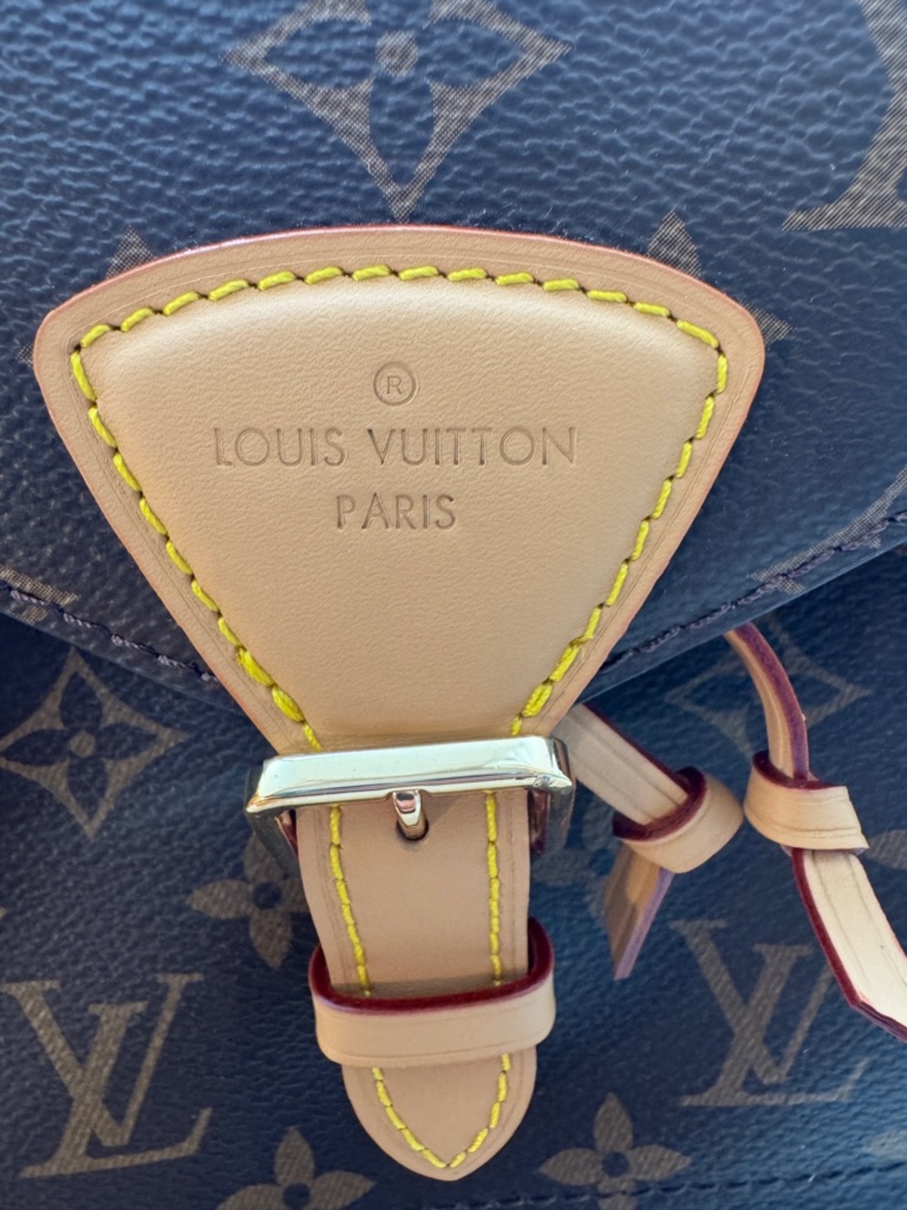 Louis Vuitton Montsouris Backpack - 2022 NEVER! WORN! Grad gift, not my style - Picture 3 of 16